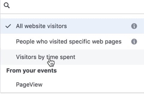 website visitors