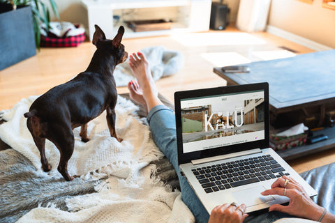 Femme allongée sur son divan naviguant sur le site web de KALŪ depuis son ordinateur portable accompagnée de son petit chien noir