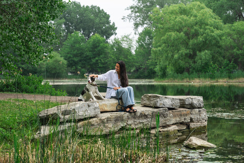 parc angrignon Montréal