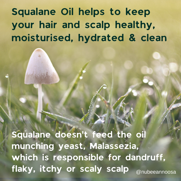 Squalane is a wonderful hair and scalp moisturiser. It's safe for dandruff as it doesn't feed the yeast Malassezia. 