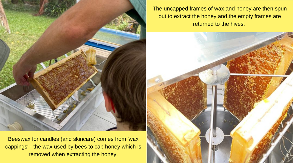 Beeswax for candles comes from 'wax cappings' when honey is extracted from frames of beeswax. 