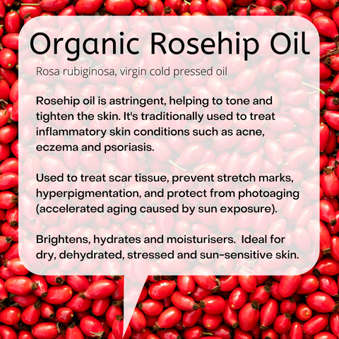 Organic Rosehip oil lip balm