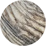 Antler