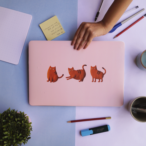 Cute cats laptop skin on a desk surface