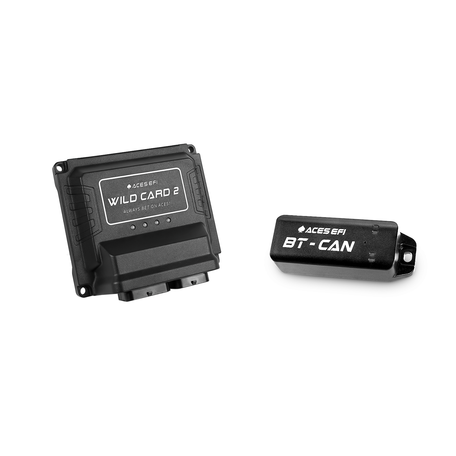 Wild Card 2 EFI (Standalone)