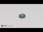 Load and play video in Gallery viewer, Glorious Oval Teal Sapphire 1.35ct
