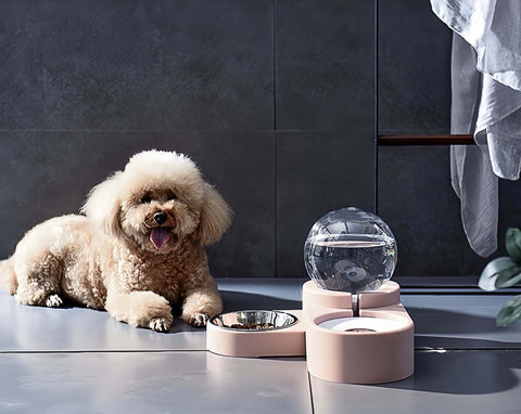 a puppy dog sitting besides a dual pet water feeder