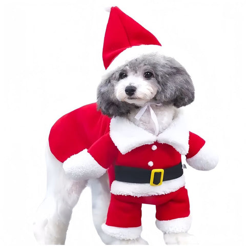 Christmas style dog clothes with standing design