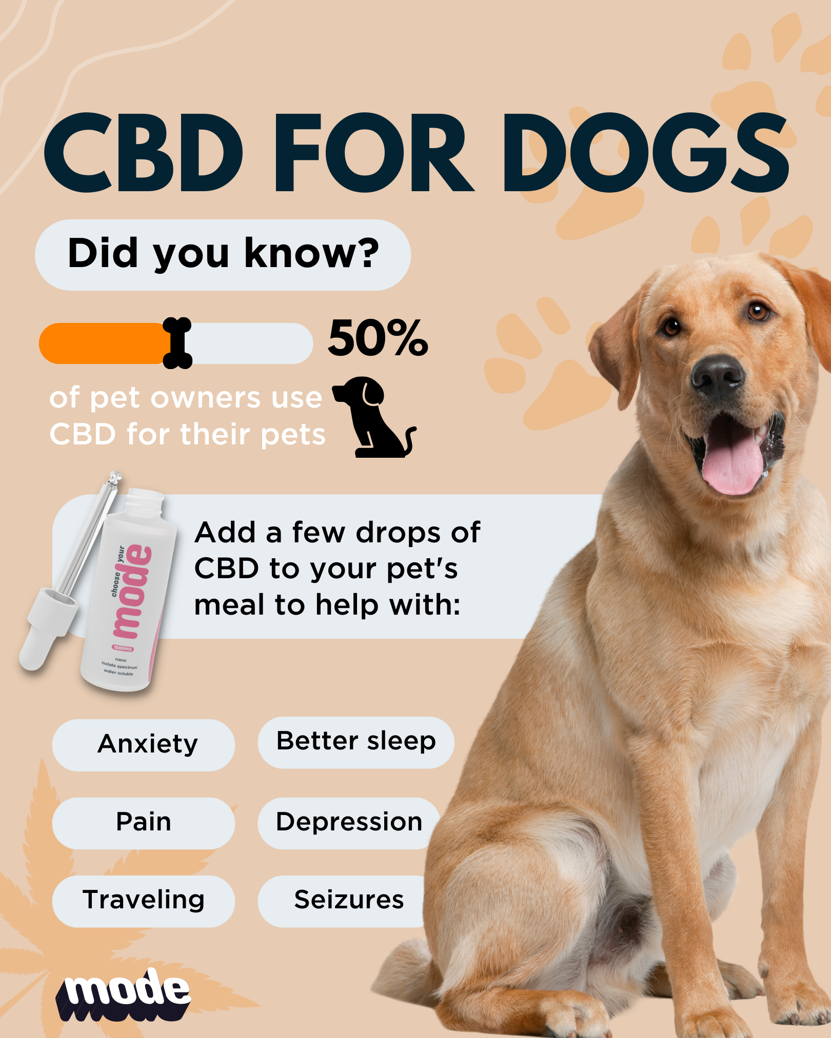 CBD for dogs infographic