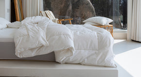 Comforter-A+-2.jpg__PID:1de0c24d-cabe-48bf-a33a-e1c07ded28b4