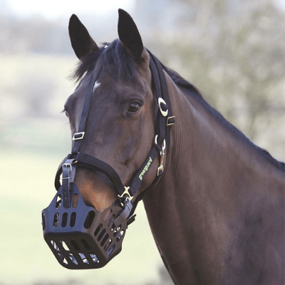 Shop Shires Greenguard Grazing Muzzles - Online for Equine