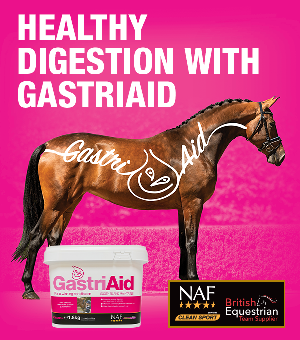 Shop NAF GastriAid - Online For Equine
