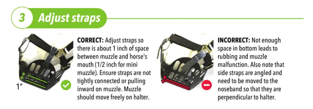 How to fit a Greenguard Grazing Muzzle - Step 3 - Adjust the straps so that there is about 1 inch of space between muzzle and the horse's mouth. The muzzle should move freely on the headcollar, not pulled tight.