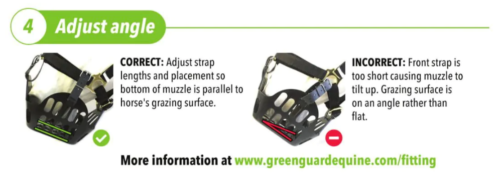 How to fit a Greenguard Grazing Muzzle - Step 4 - Adjust strap lengths and placement so the bottom of the muzzle is parallel to the horse's grazing surface.