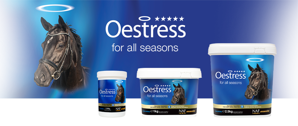 Shop NAF Five Star Oestress - Online for Equine