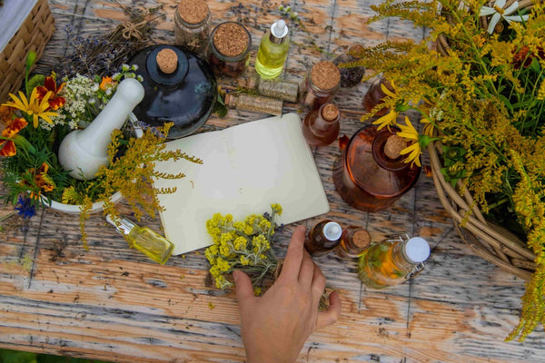 Nature-based practices, a table full of herbs.