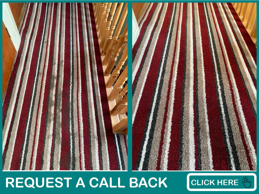 carpet cleaning newry