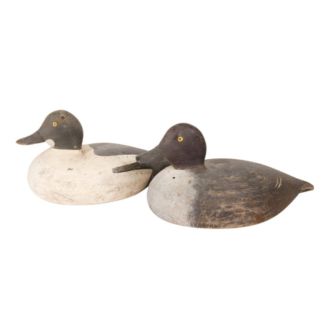 Golden Eye Decoy Pair, Sporting Goods, Hunting, Waterfowl Decoy