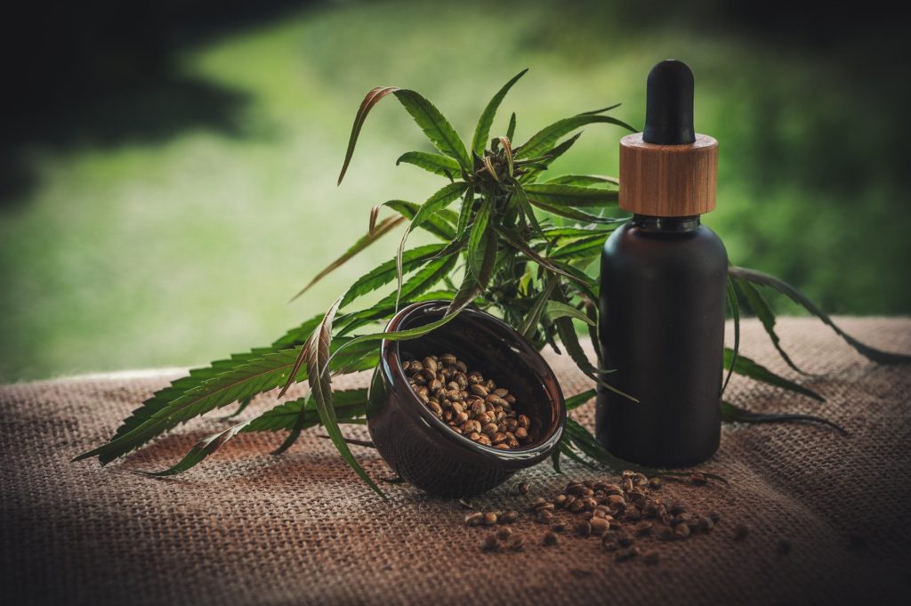 Using CBD oil for anxiety for humans can help ease normal levels of anxiety.