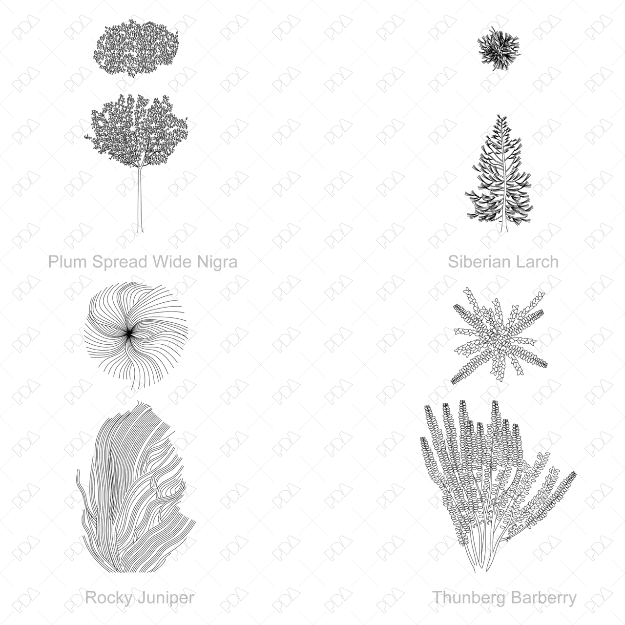 DWG & Vector Japanese Style Trees Multi-Pack (Top view + Sideview ...