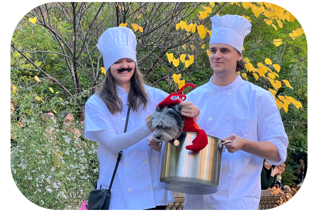 Chief and lobster dog costumes Dog pirate Sparrow Costume for Halloween 2023 - Elisabeth Street Garden Dog Halloween 2022 parade