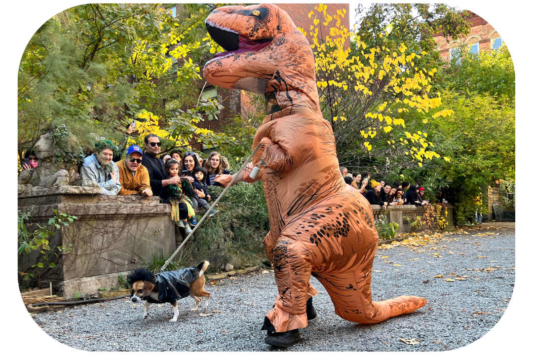 Dinosaur dog costume for Halloween 2023 Dog pirate Sparrow Costume for Halloween 2023 - Elisabeth Street Garden Dog Halloween 2022 parade