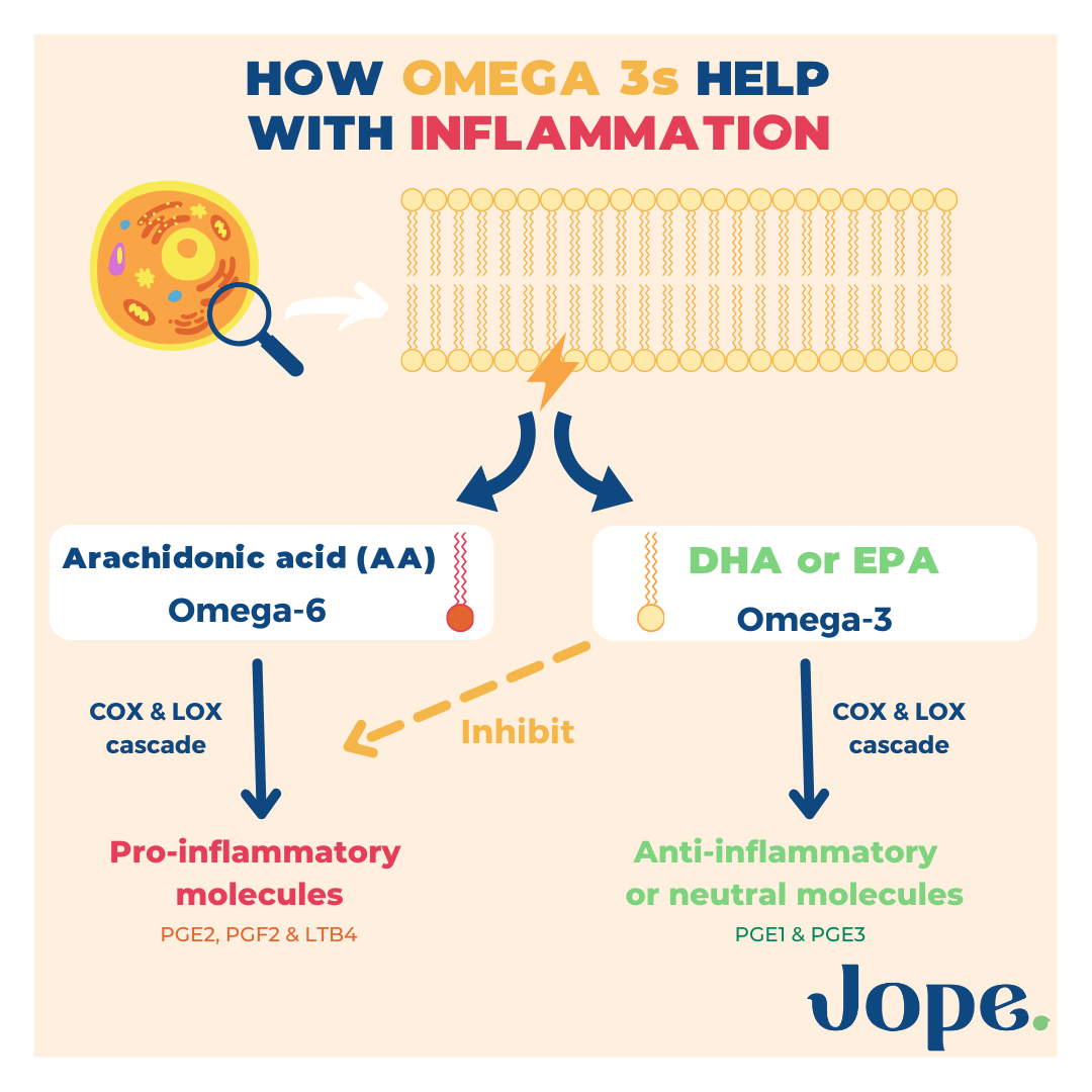 How do omega 3 help with dog inflammation