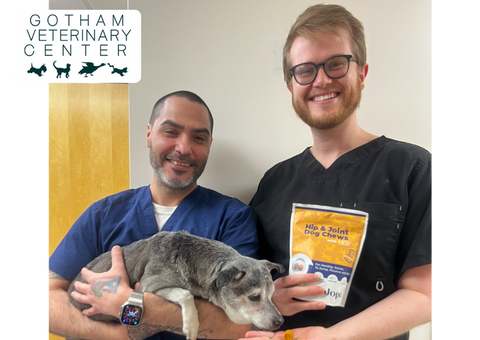 Jope joint supplement recommended by Gotham Vet Center