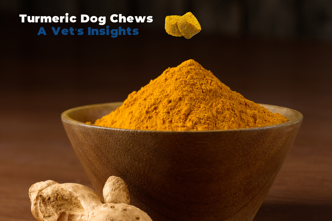 Turmeric Dog Chews - A Vet's Insights