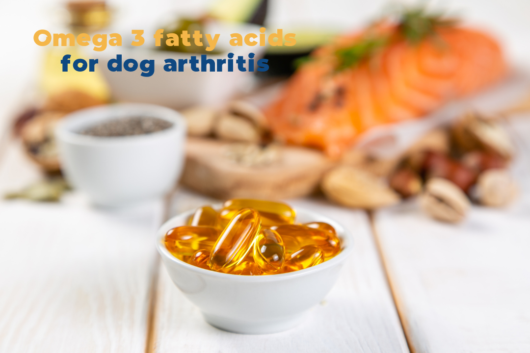 Omega 3 fatty acids for dogs