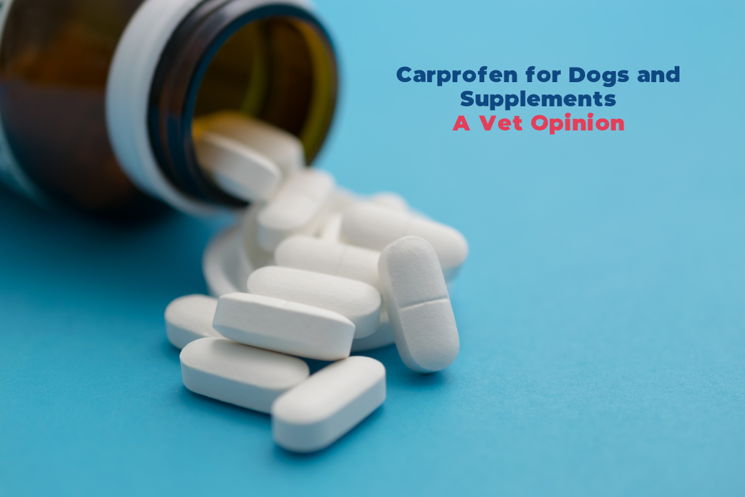 Carprofen for dogs: dosage, risks, indications, supplements