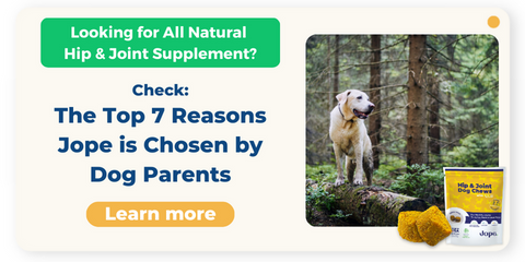 Jope a natural dog joint supplement for OCD
