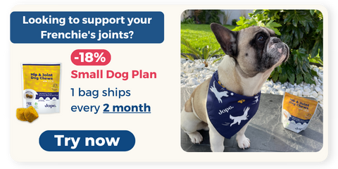 Best dog joint supplement for frenchies with UC-II collagen