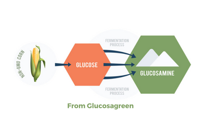 Vegetarian glucosamine