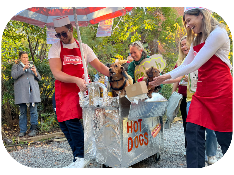 Best ideas dog costumes for Halloween dog's parade in Elizabeth Street Garden