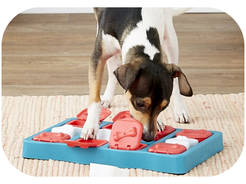 Dog feeder are a real good way to limit of food taken