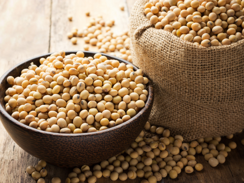Natural and organic soybeans