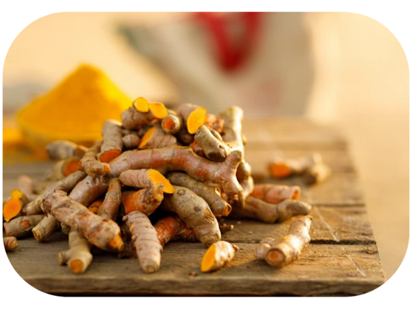 The answer is easy, and it's YES Curcumin is safe for dogs!
