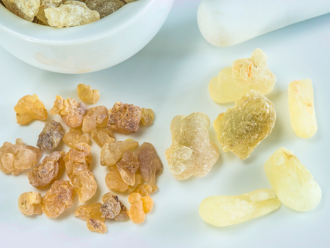 Boswellia serrata is a natural dog joint ingredient