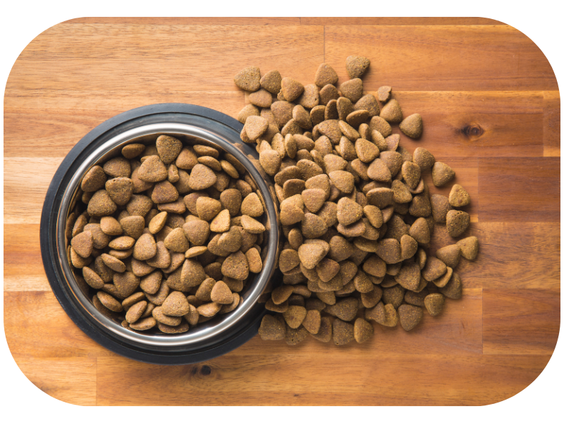 Brands dog food for puppies