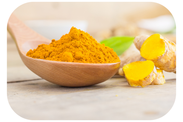 Turmeric is a natural antioxidant for dogs