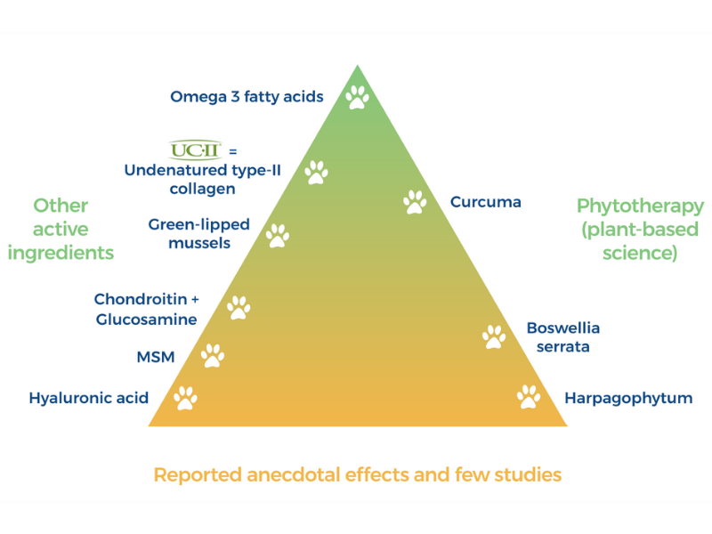 Scientific pyramid for dog joint ingredients