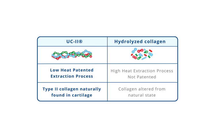 Differences between UC-II and undenatured type II collagen