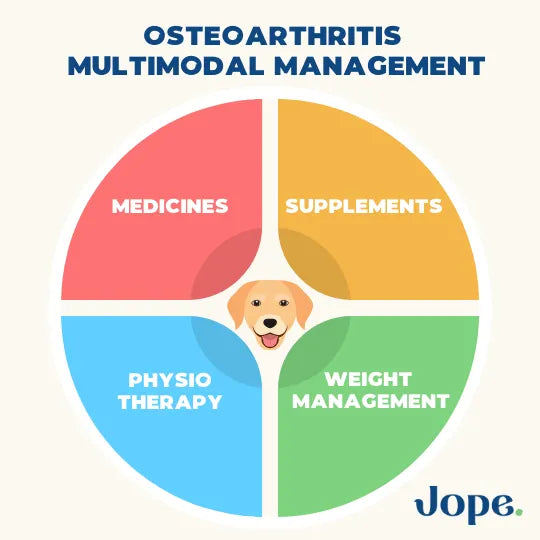 Dog multimodal arthritis management
