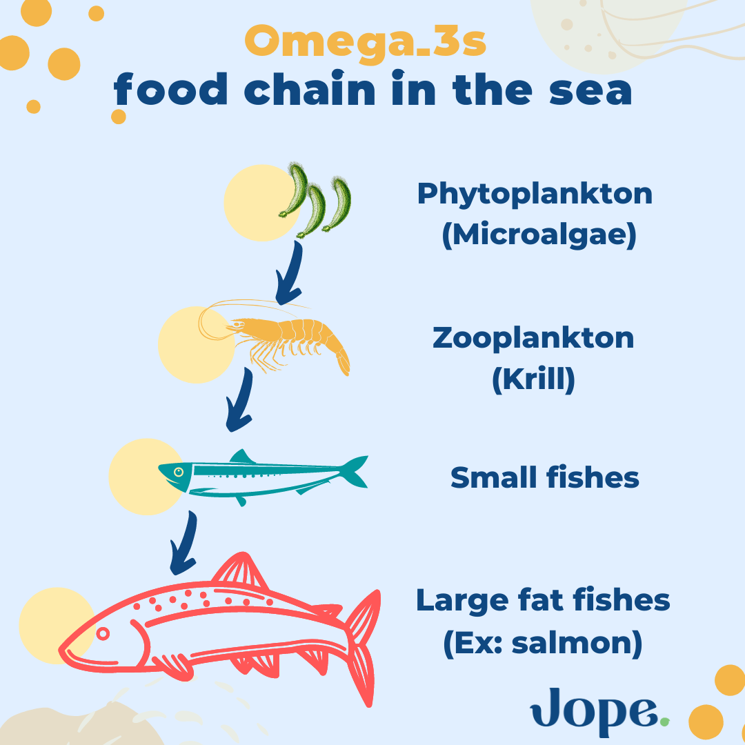 Omega 3 sea food chain for dogs