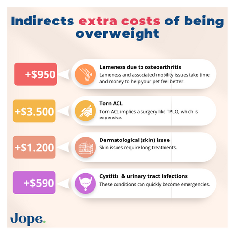 The costs of dog obesity