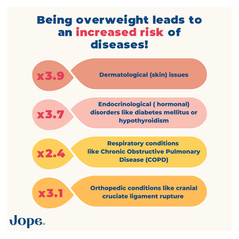 Risks for overweight dogs