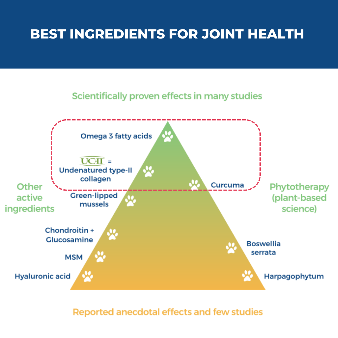 Best supplement for dog arthritis