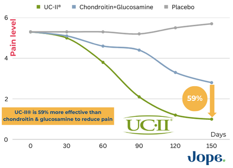 UC-II against glucosamine for efficacy in dog joints