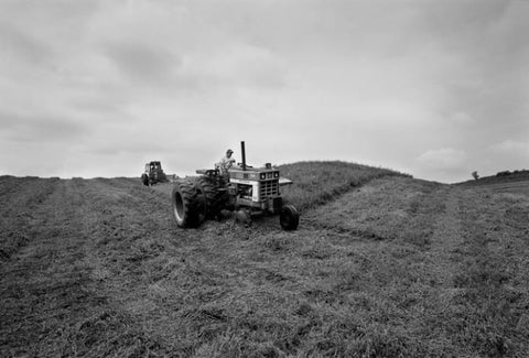 Haying a field